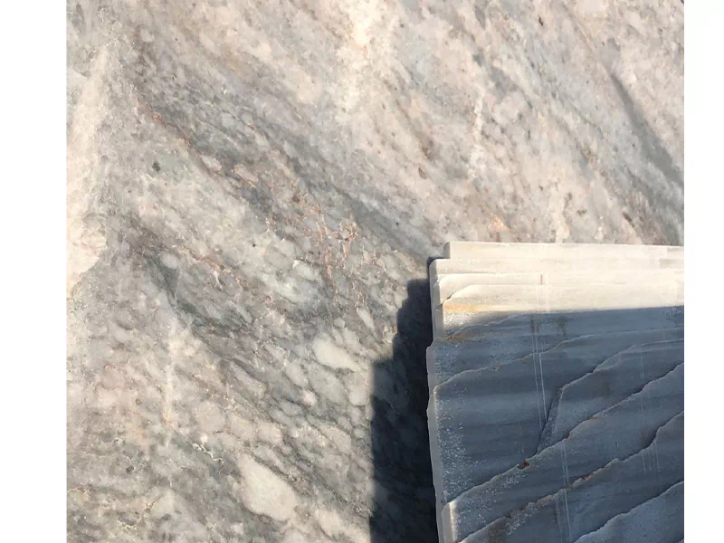Leopard Grey Marble